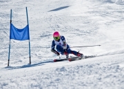 开云足球直播-沙漠中的闪电，博托莱托的超车艺术与哈斯的逆袭，如何重写F1赛季终章的剧本