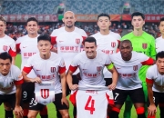 开云体育入口-客场优势再次显现，主队难守住胜利