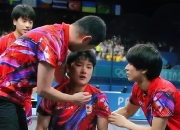 开云体育平台APP-比利时乒乓球队完胜韩国乒乓球队，张本智和关键制胜的简单介绍