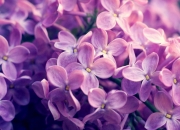 开云体育APP下载-绿茵场上的冷与热，欧冠焦点战启示录与墨西哥足球的冰岛征服