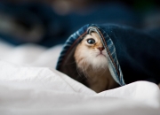 开云体育中国官网-丹麦风暴席卷圣马梅斯，孔德关键回合一锤定音，毕尔巴鄂主场神话告破