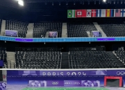 开云体育平台APP-法国队轻取马来西亚队，郑思维点燃赛场的简单介绍