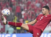 开云体育平台APP-塞尔维亚国家队成功晋级，领先进军