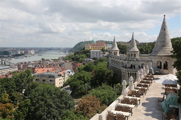 包含匈牙利队勇敢挑战强敌，声名鹊起的词条