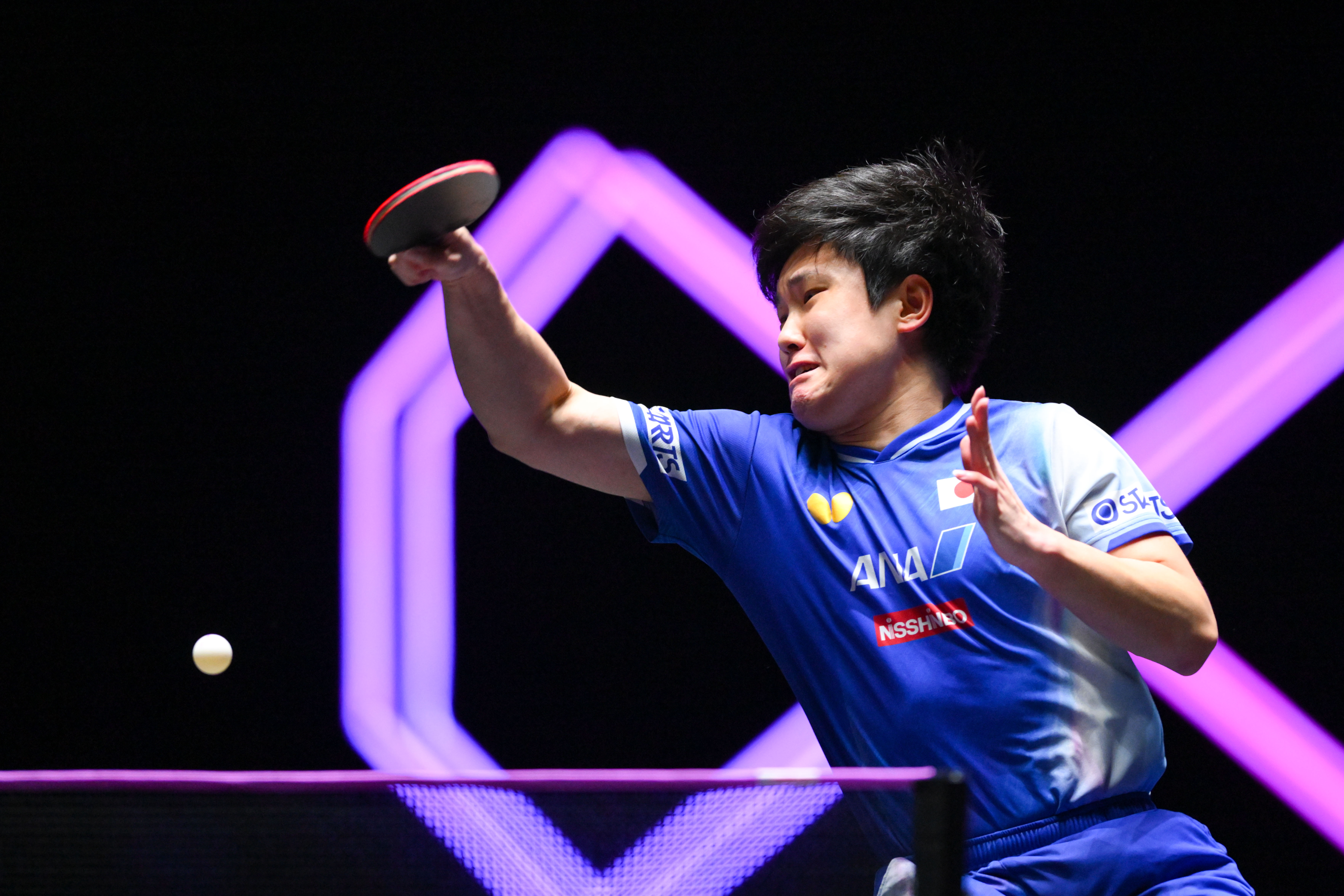 比利时乒乓球队完胜韩国乒乓球队,张本智和关键制胜的简单介绍 比利时乒乓球队完胜韩国乒乓球队,张本智和关键制胜的简单介绍